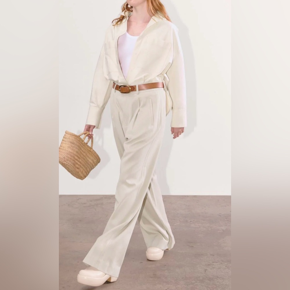 Everlane The Draper Pleated Pant in Buttersmooth Trousers 8S Sandstone